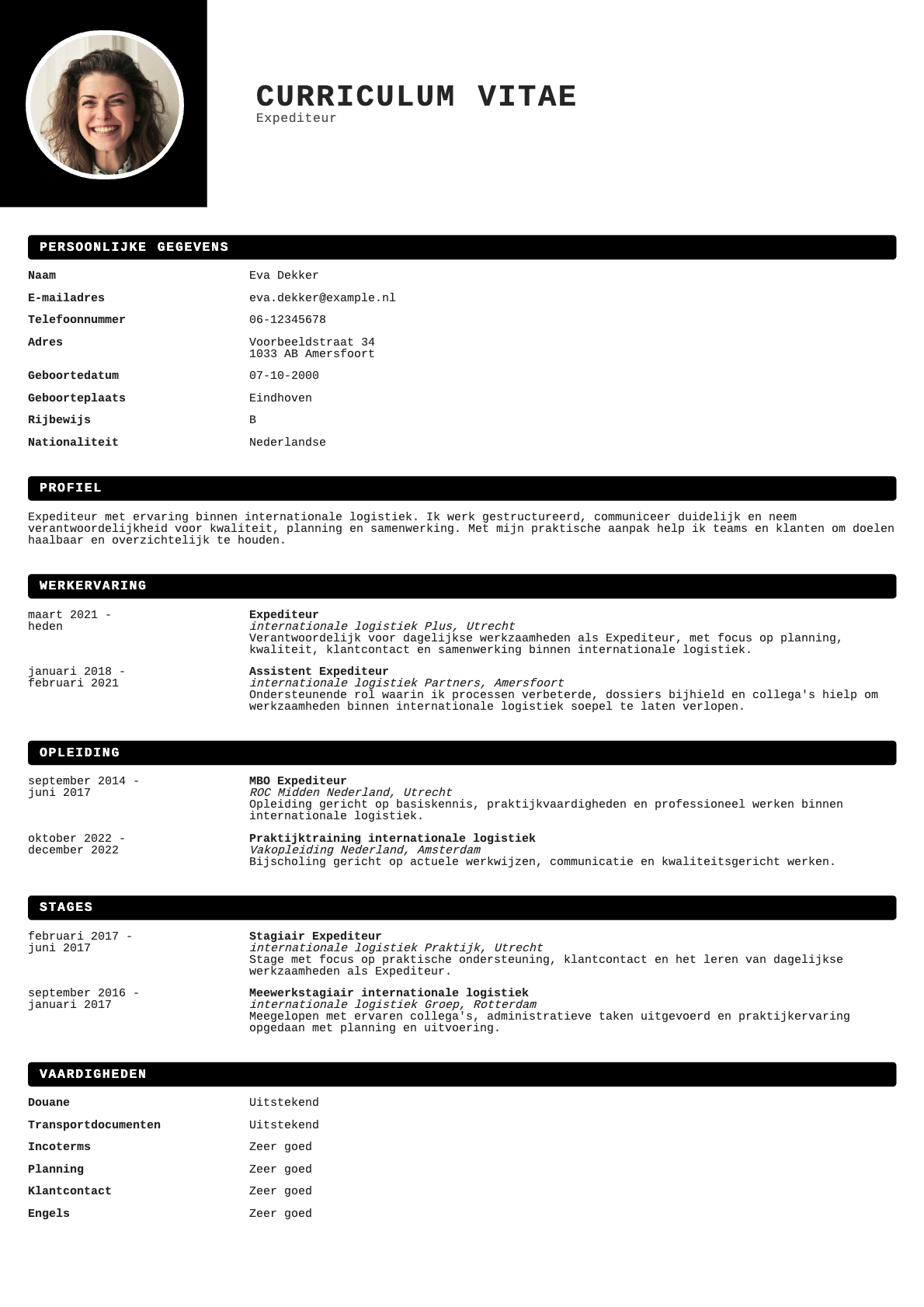 Voorbeeld van het Compact Professional cv-template