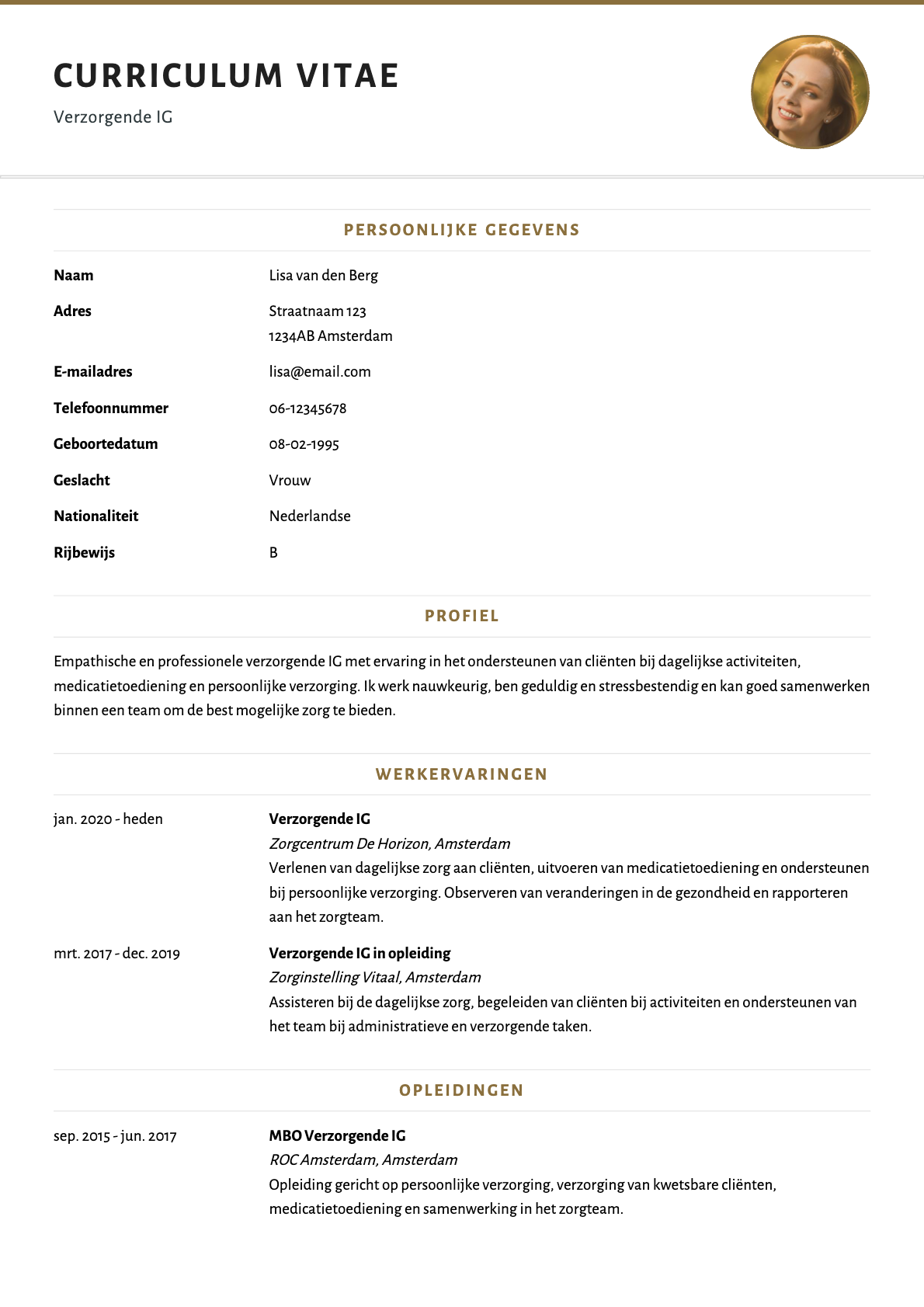 Voorbeeld van het Elegant Classic cv-template