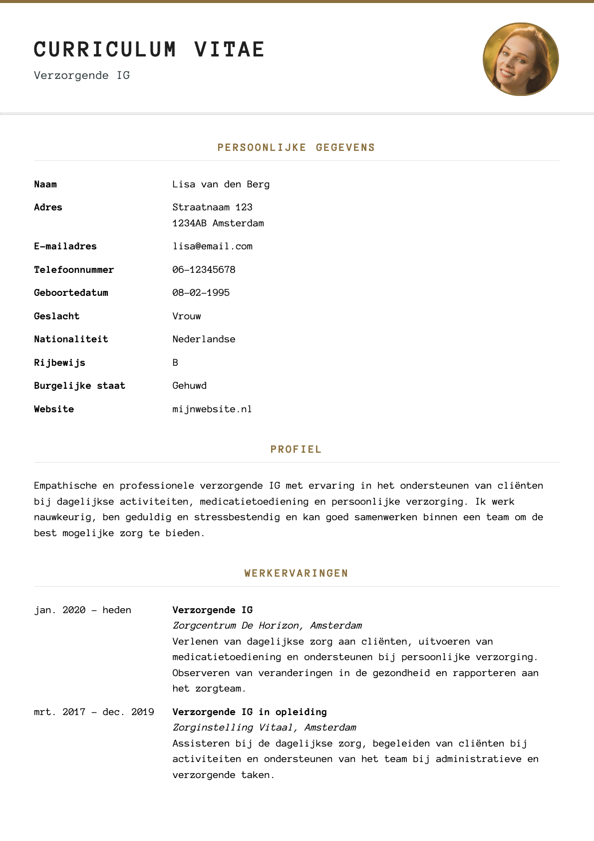Voorbeeld van het Elegant Classic cv-template