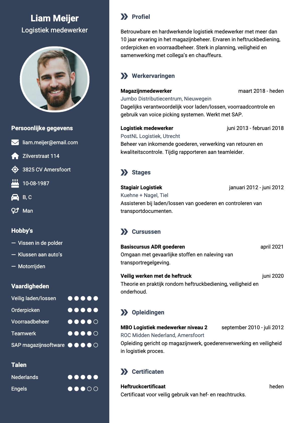 Voorbeeld van het Luchtig Blauw cv-template