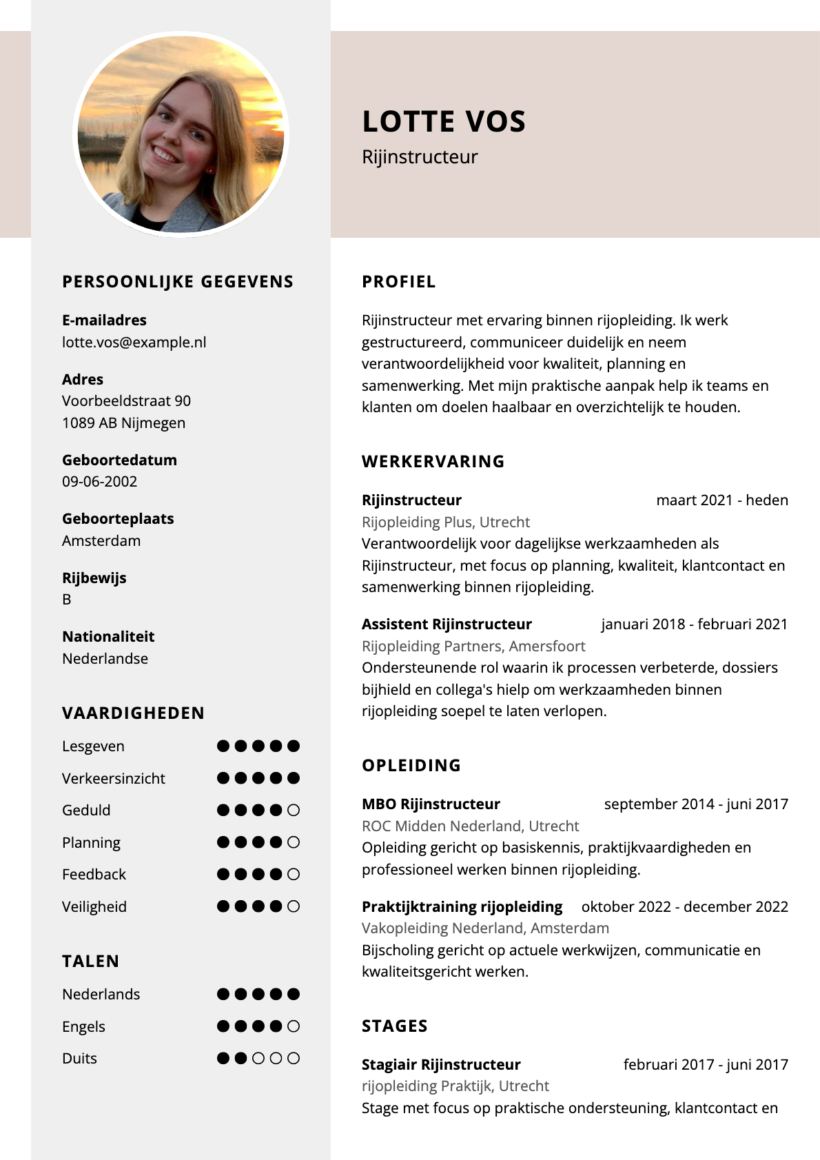 Rijinstructeur
