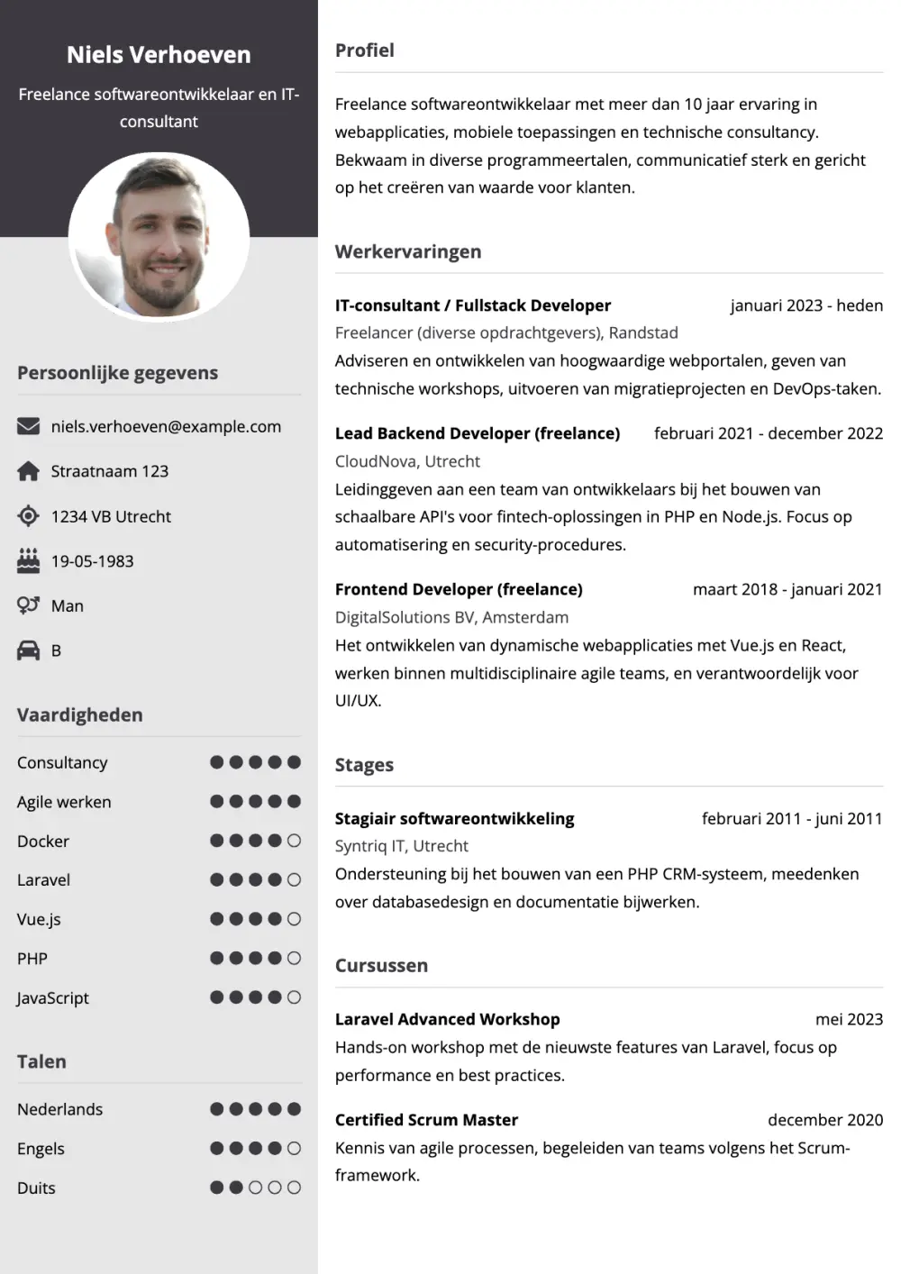 CV voorbeeld Freelancer