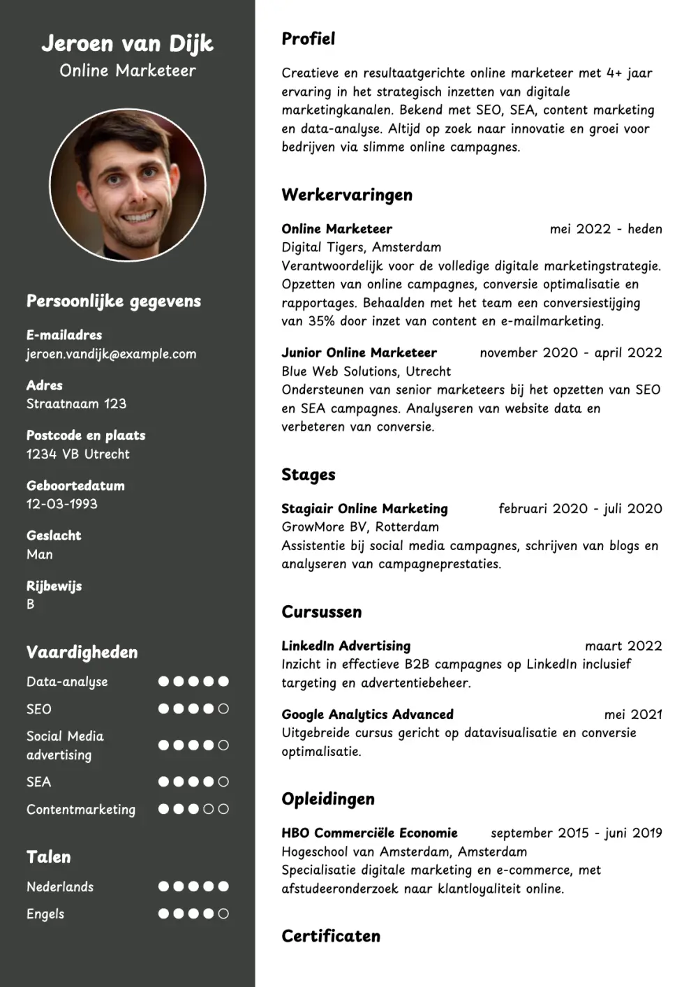 CV voorbeeld Online Marketeer