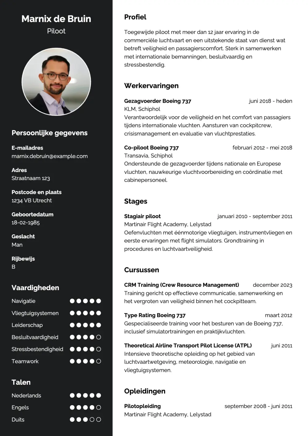 CV voorbeeld Piloot