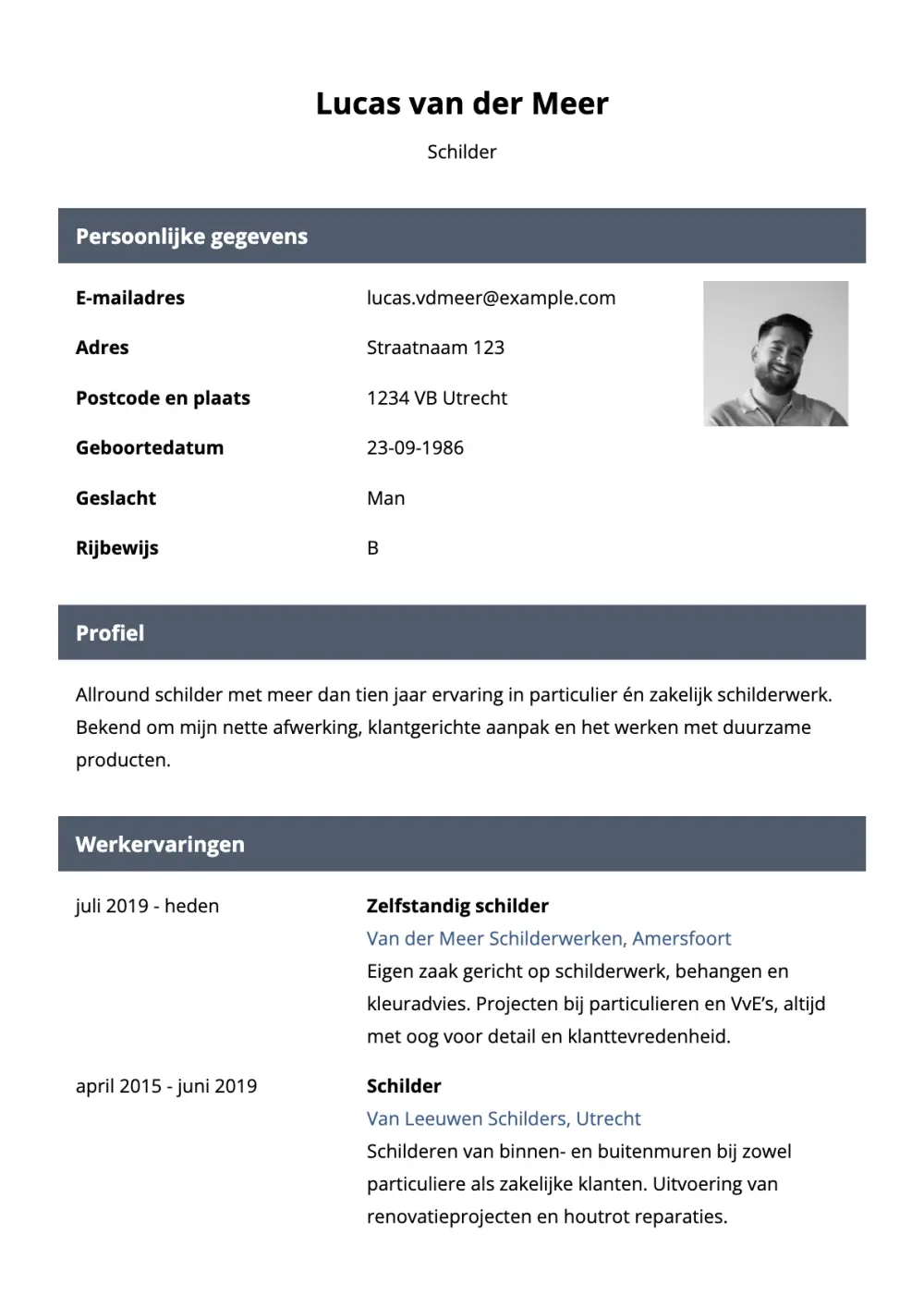 CV voorbeeld Schilder