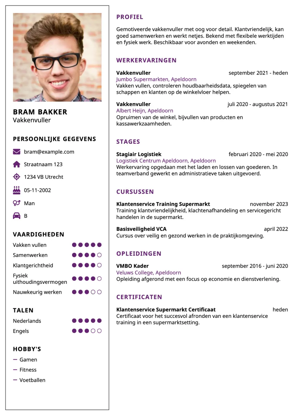 CV voorbeeld Vakkenvuller
