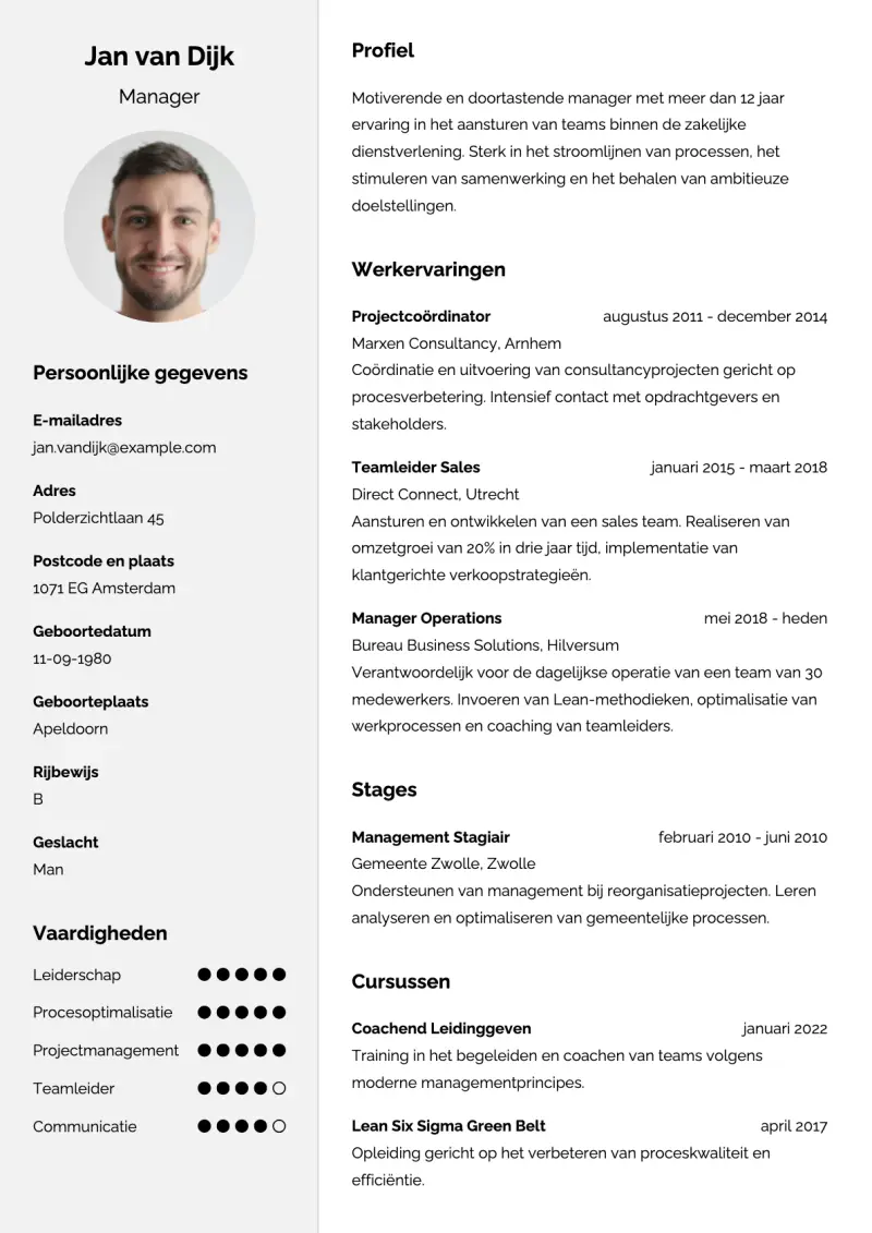 Voorbeeld van het Scandinavisch Licht cv-template