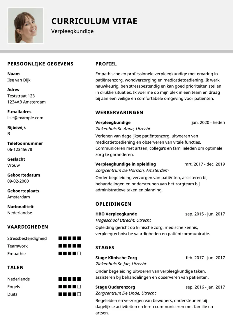 Voorbeeld van het Rustig & Professioneel Zorg CV-template cv-template