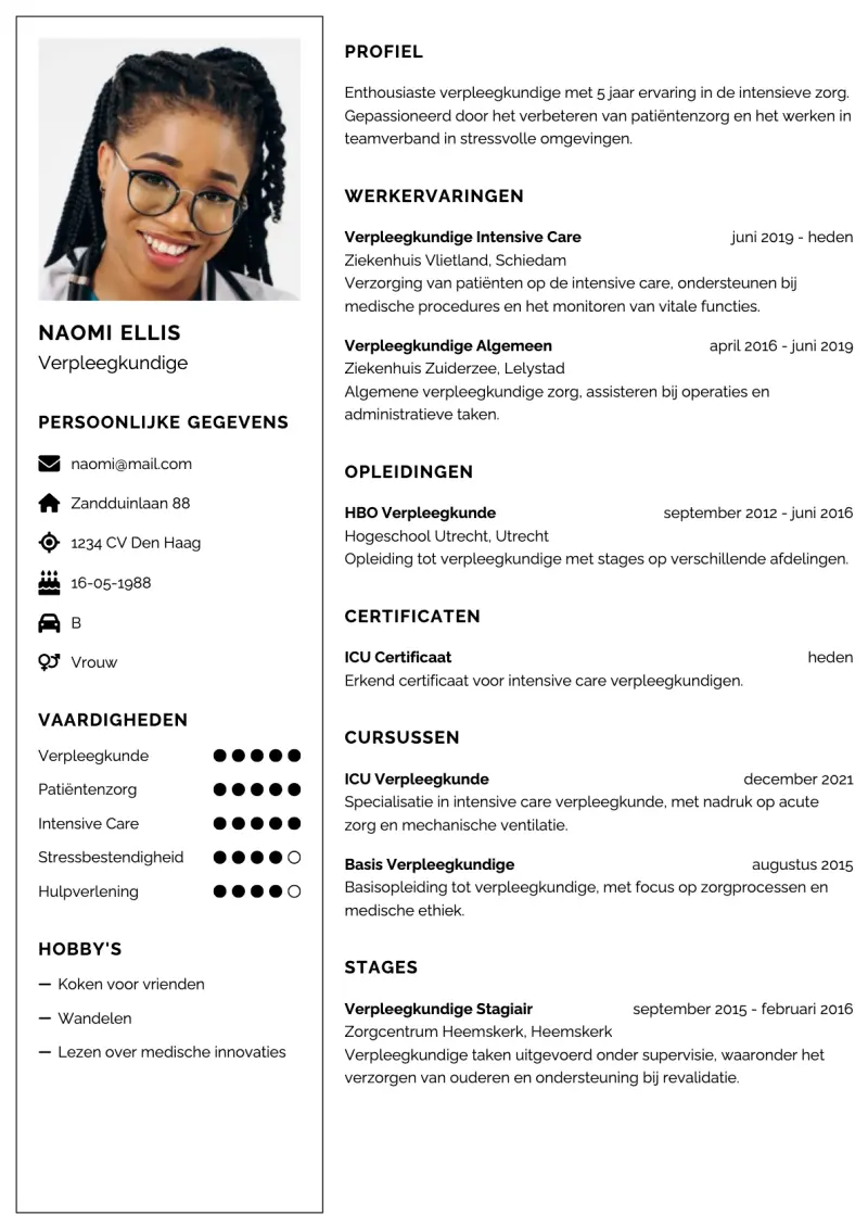 Voorbeeld van het Strak Zwart cv-template