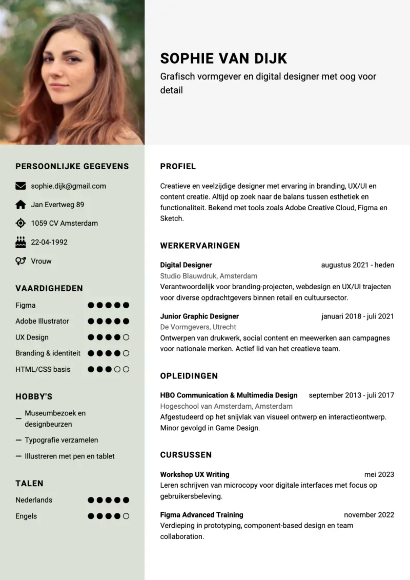 Voorbeeld van het Scandinavisch cv-template