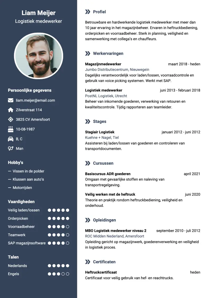 Voorbeeld van het Luchtig Blauw cv-template
