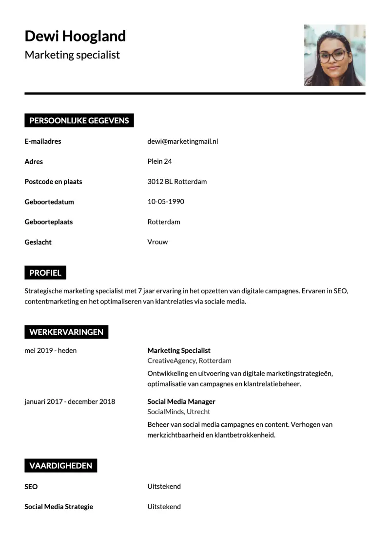 Voorbeeld van het Modern Basis cv-template